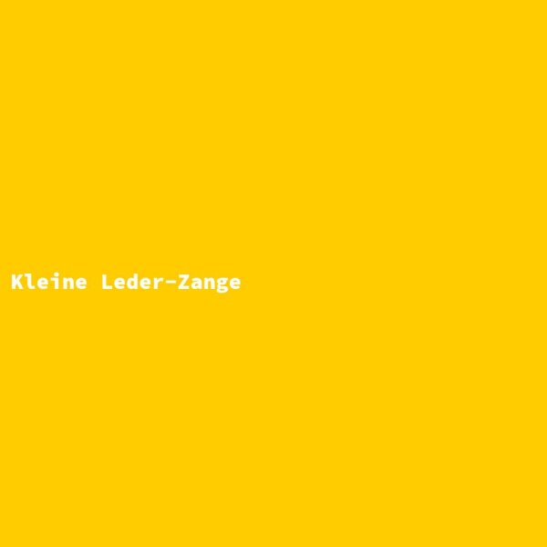 Kleine Leder-Zange