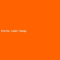 Kleine Leder-Zange
