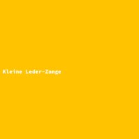 Kleine Leder-Zange